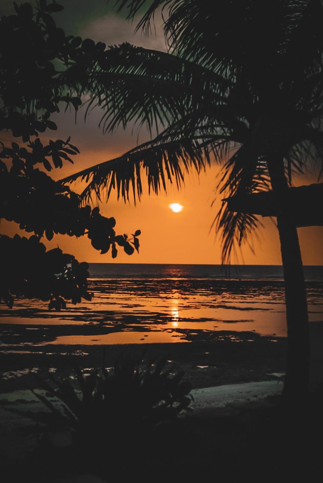 Sumatra Surf Resort Biha Eksteriør bilde